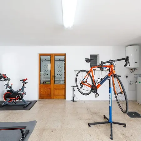 Parragó Can Picafort